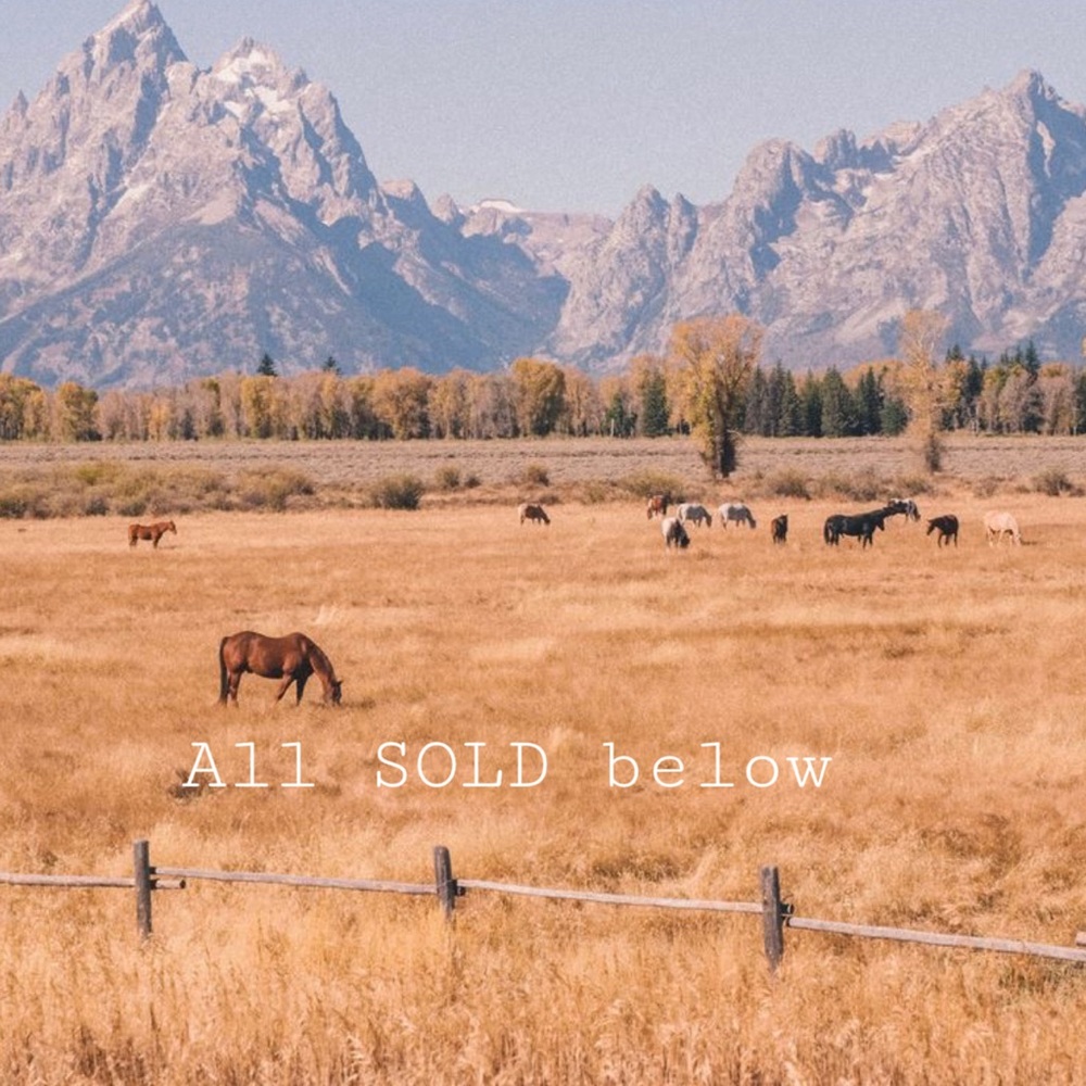 ✨✨✨✨✨✨✨✨✨✨✨✨✨✨